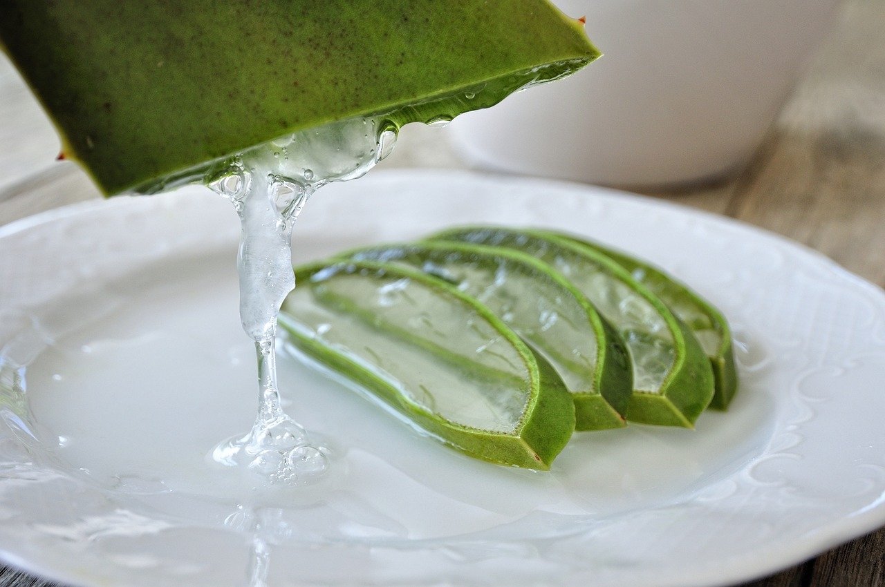 Harnessing Aloe Vera Gel: Nature's Secret for Skin Rejuvenation