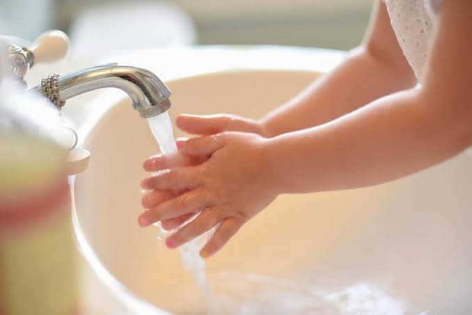 The Benefits of Using Herbal Handwash (Sandal): A Gentle Touch of Nature