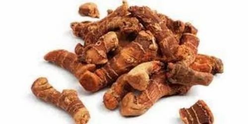 The Wonders of Chitharathai Powder (Alpinia officinarum): A Culinary and Medicinal Treasure