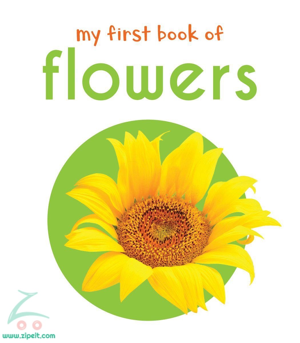 My First Book Of Flowers | Shop Products Online at Best Price & Offers ...