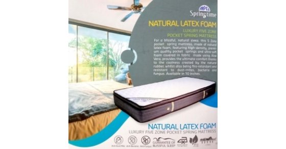 arpico latex mattress price
